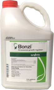 Sygenta Bonzi 2.5 gallon