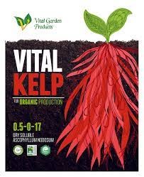 Vital Kelp 1 lb