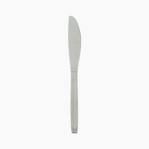 Stainless Steel Dinner Knife (Pack of 12)